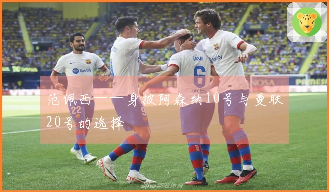 范佩西——身披阿森纳10号与曼联20号的选择