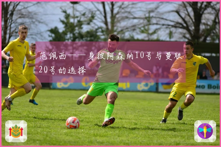 范佩西——身披阿森纳10号与曼联20号的选择